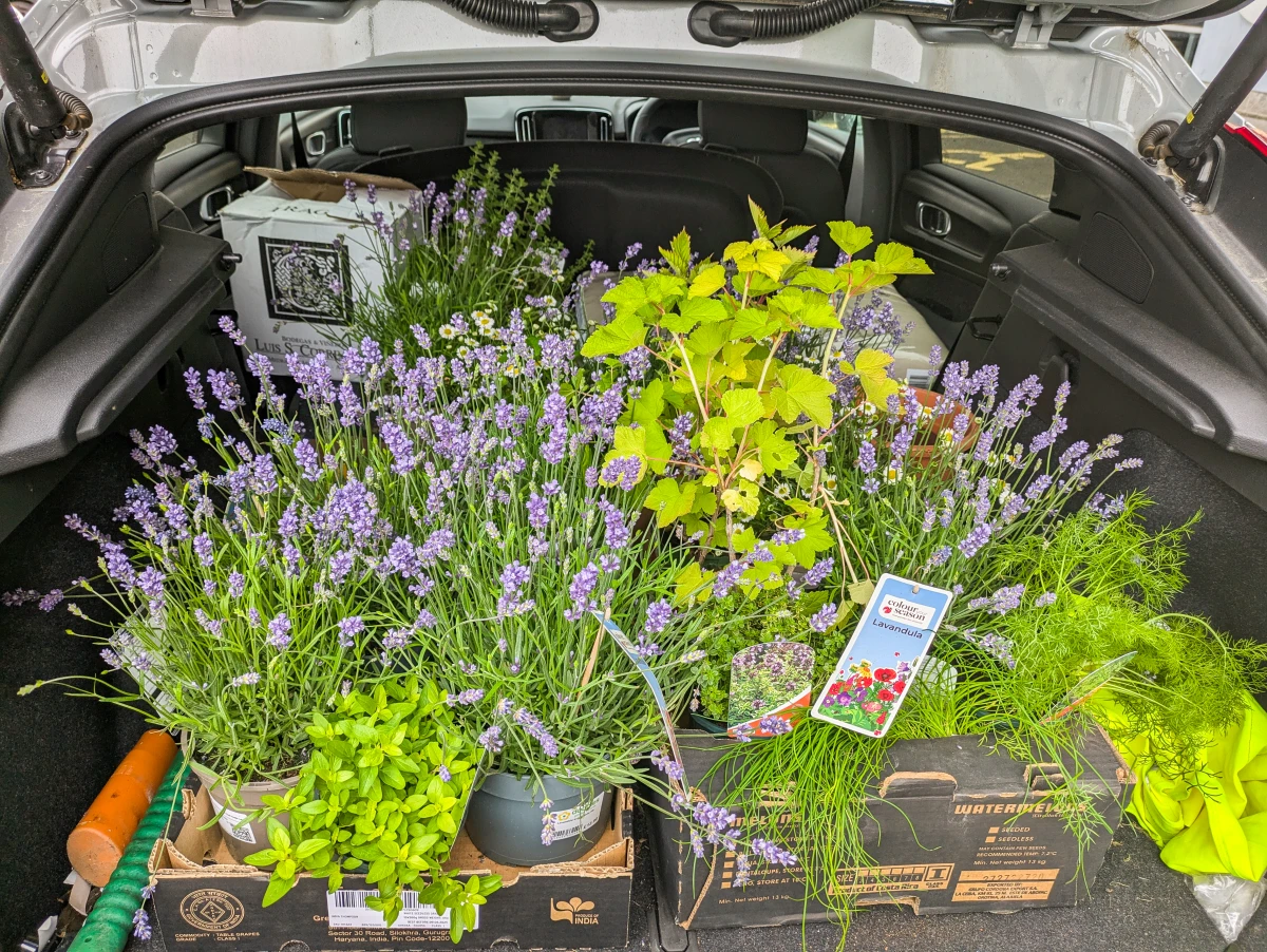 From Pallets to Planters – Creating Upcycled Garden Planters for a Sustainable Future
