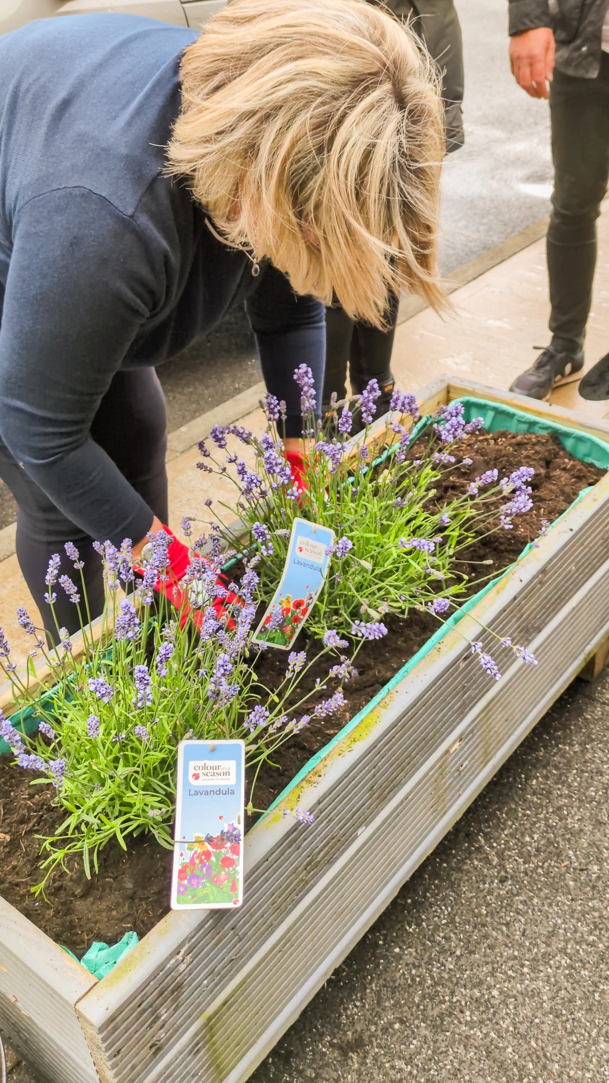 From Pallets to Planters – Creating Upcycled Garden Planters for a Sustainable Future