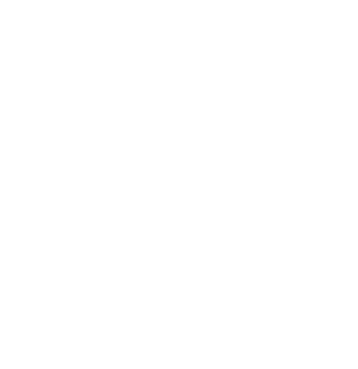ISO 9001 - white