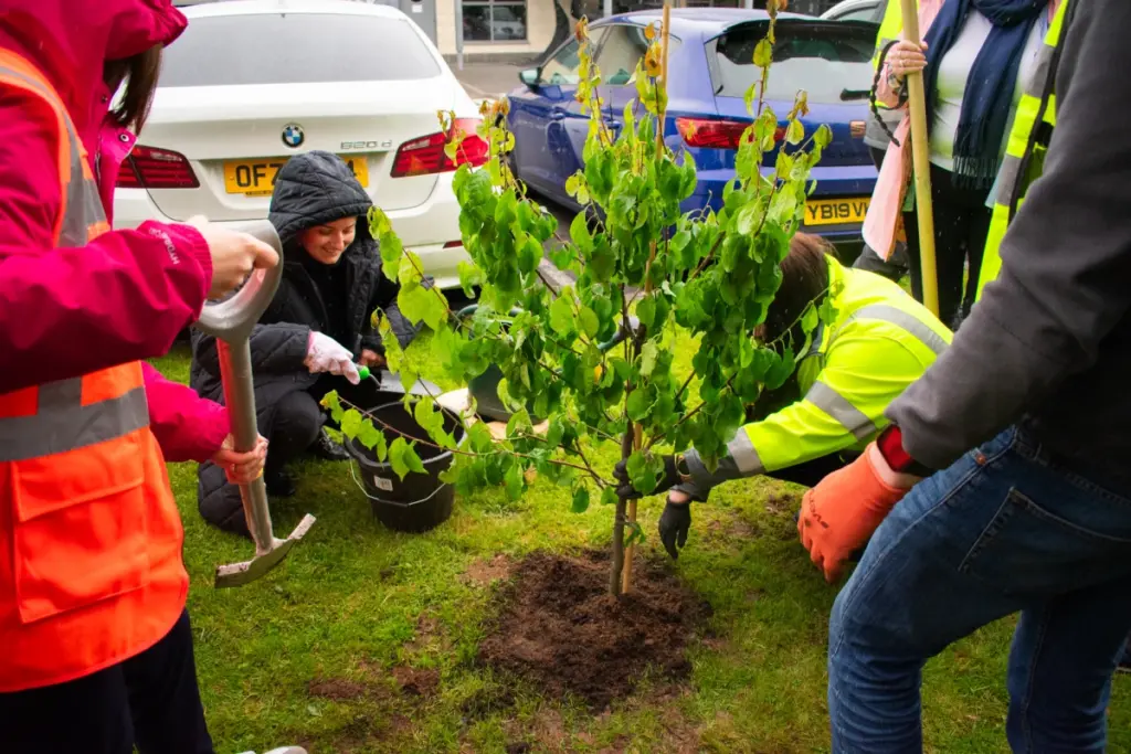 Smiley Monroe tree planting
